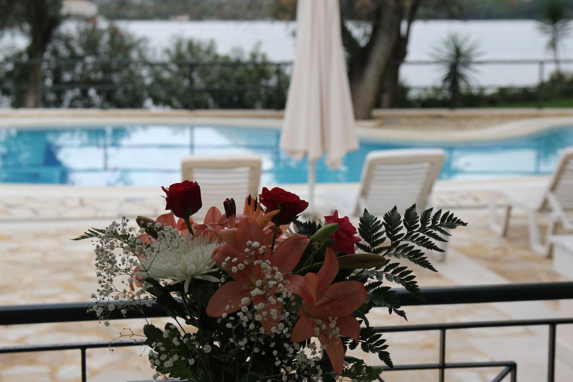 Saint Nicholas Beach Resort Dassia  Dış mekan fotoğraf