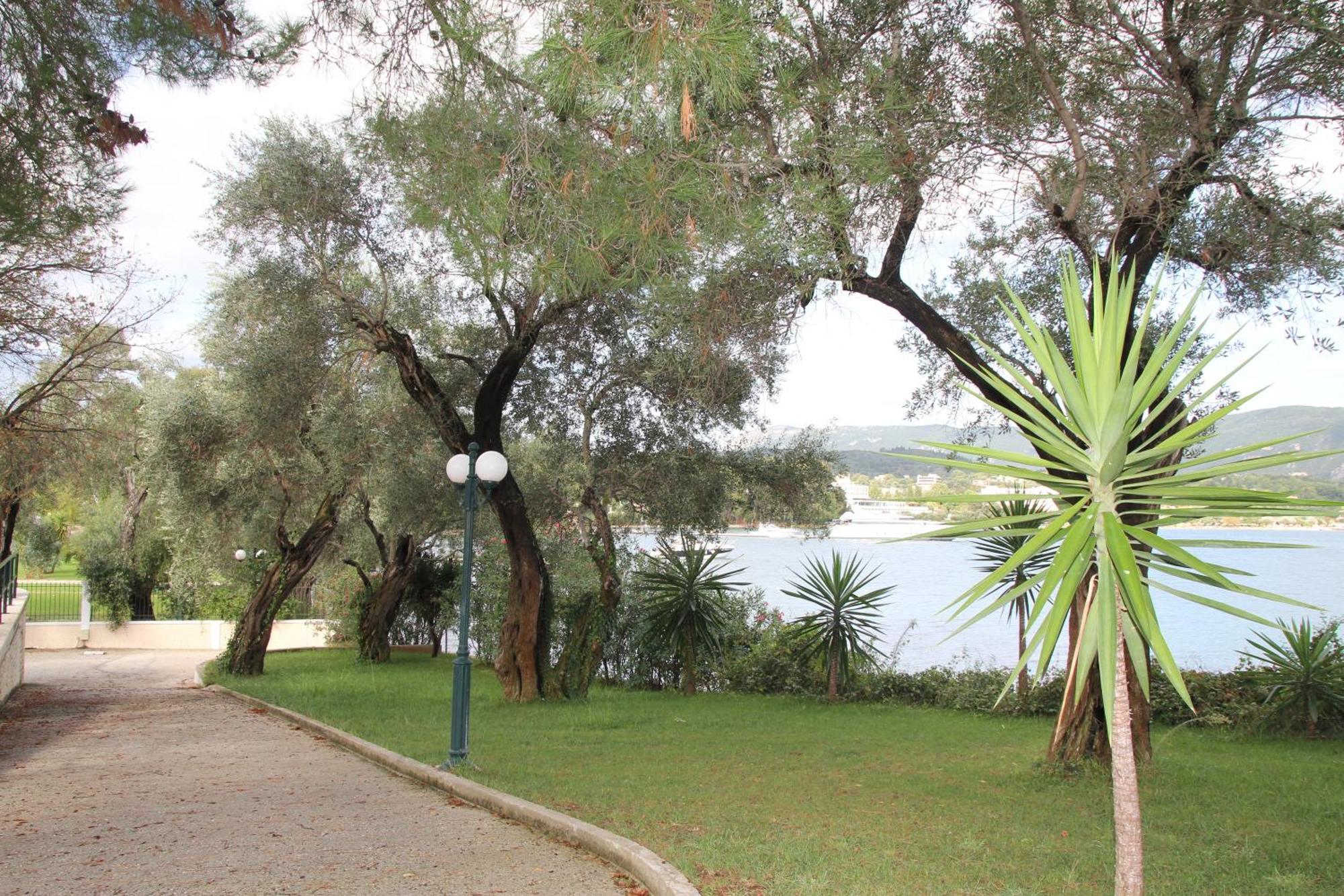 Saint Nicholas Beach Resort Dassia  Dış mekan fotoğraf